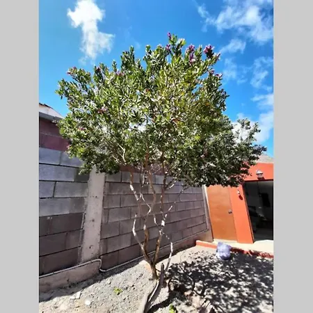 Finca La Hoya Dom wakacyjny San Nicolás